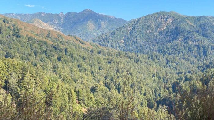 scenic vista landscape of redwoods studded mountains
