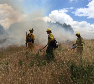 We and our partners used controlled burning to reduce non-native vegetation on a League-protected property.
