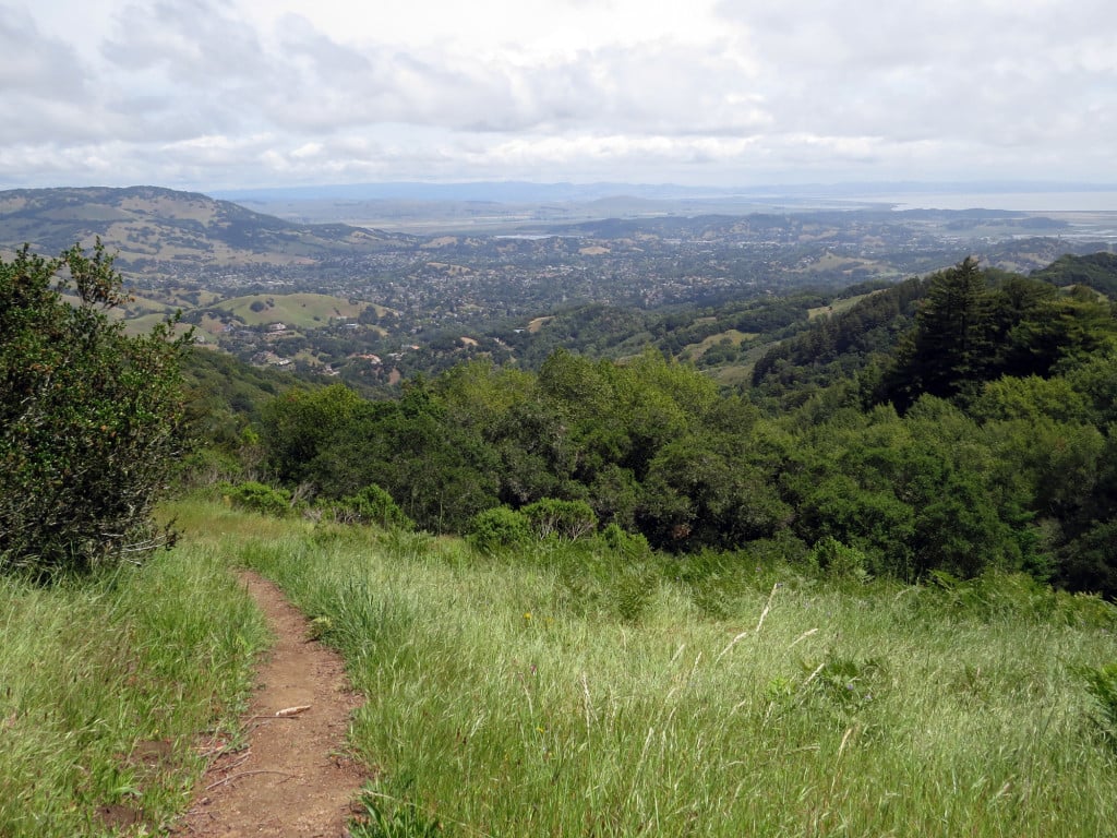 A dirt path leads from the foreground to the midground. A scenic vista of mountains and forest lies in the background.