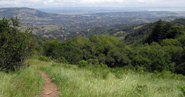 Indian Tree Open Space Preserve, Photo by Ben Amstutz, Flickr CC