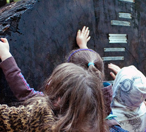 Students learn about redwoods at Armstrong Redwoods State Natural Reserve thanks to a grant from Save the Redwoods League. Photo by Gregory Hayes