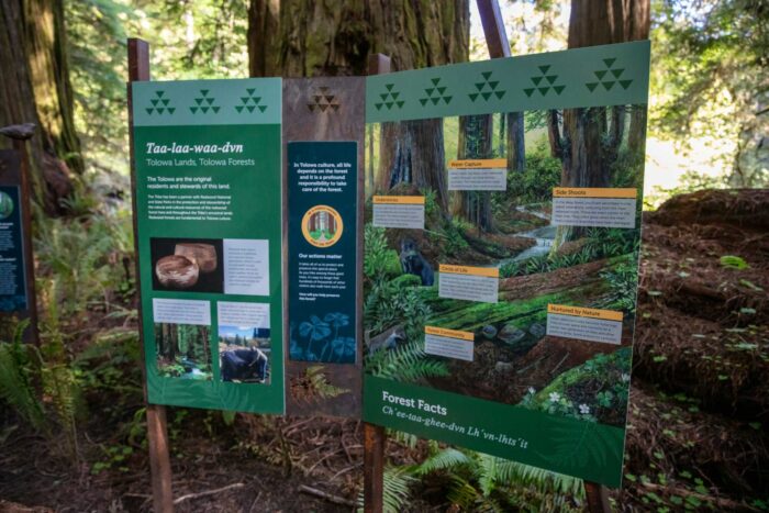 An interpretive panel on Tolowa culture features the triangular pattern of traditional Tolowa basketry