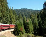 Watch 'Rails Through the Redwoods' video. Photo by Julie Martin