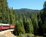 Watch 'Rails Through the Redwoods' video. Photo by Julie Martin