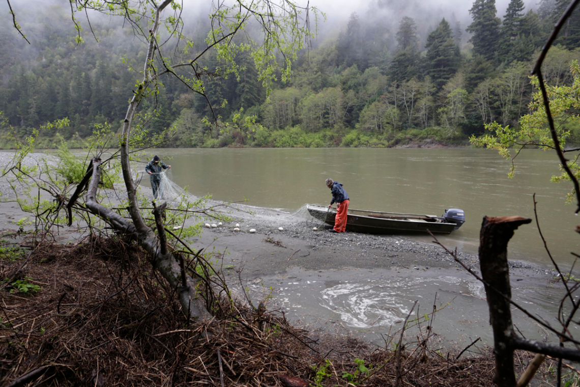 Yurok Tribe members fishing with netting by a river.