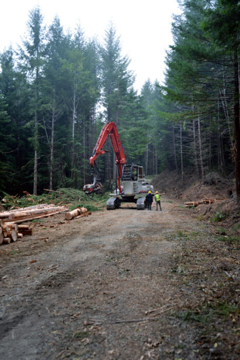 Heavy equipment operators remove biomass from Redwoods Rising project sites to improve forest and watershed health.