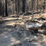 Rubble at Jay Camp Seasonal Housing. © California State Parks, all rights reserved (2020)