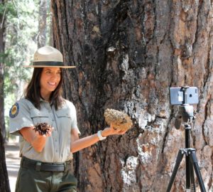 Interpretive specialist Jenny Comperda helps broaden learning through digital redwood science programs at Calaveras Big Trees State Park. Photo courtesy of California State Parks.