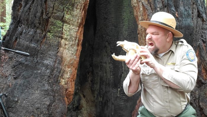 CA State Park naturalist John Griffith with cougar skull