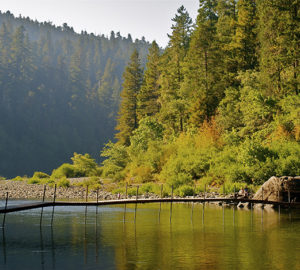 Smith River, Jedediah Smith Redwoods State Park. Photo by Jon Parmentier