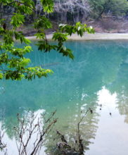 Navarro River Redwoods State Park. Photo by League staff