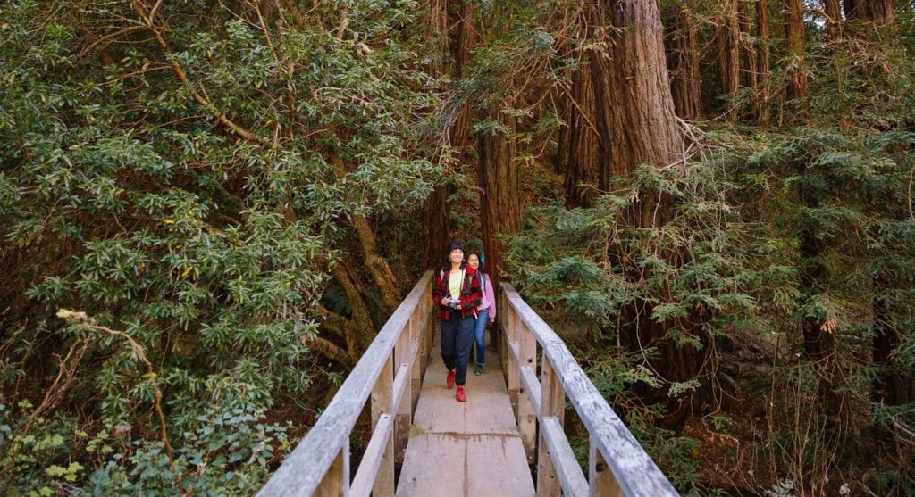 Two women in colorful clothing cross a bridge in the redwoods.