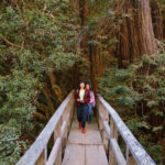 Two women in colorful clothing cross a bridge in the redwoods.