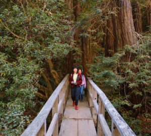 A diverse group of four young adults in colorful clothing cross a bridge in the redwoods.