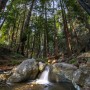 Julia Pfeiffer Burns State Park. Photo by Joe Parks, Flickr Creative Commons