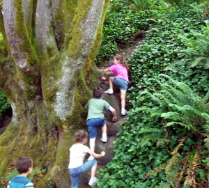 The outdoor experiences we have as kids can help us be happier and healthier for our whole lives. Photo by rocket ship, Flickr Creative Commons.