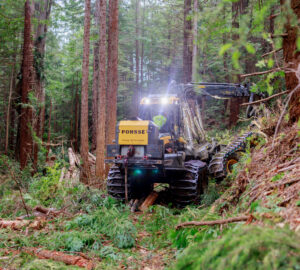 A tracked machine sits in the middle of a redwood forest performing restoration work.