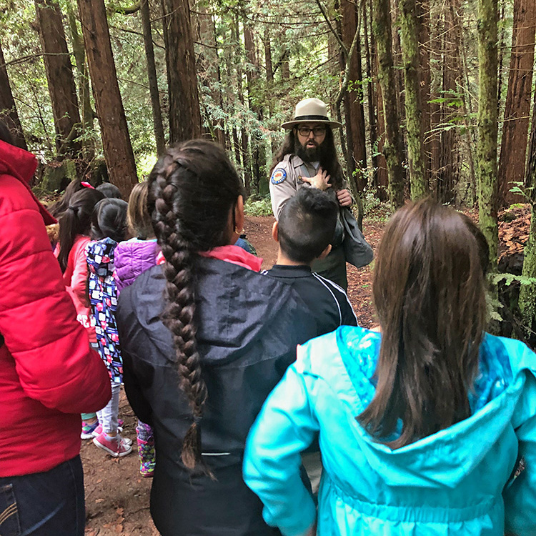 The Live Like Coco Foundation takes Santa Cruz County students on a field trip to Nisene Marks to see redwoods. Photo courtesy of The Live Like Coco Foundation