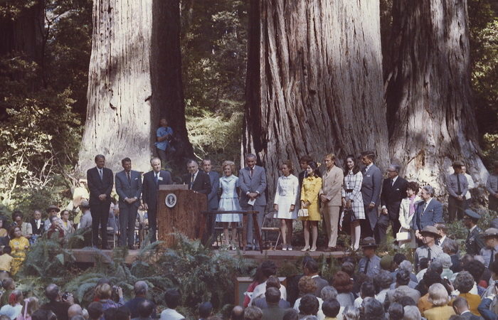 Former President Lyndon Johnson (gray suit, seventh from left) spoke at the 1969 dedication of the Lady Bird Johnson Grove in Redwood National Park. Photo by David Swanlund