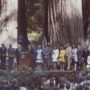 Former President Lyndon Johnson (gray suit, seventh from left) spoke at the 1969 dedication of the Lady Bird Johnson Grove in Redwood National Park. Photo by David Swanlund