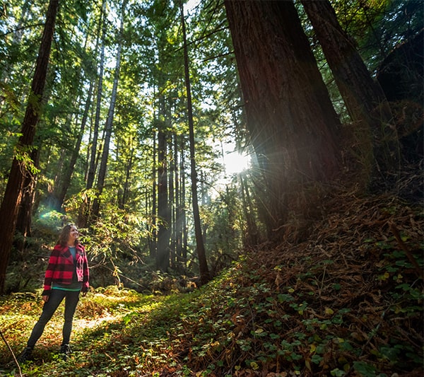 Protect Cascade Creek