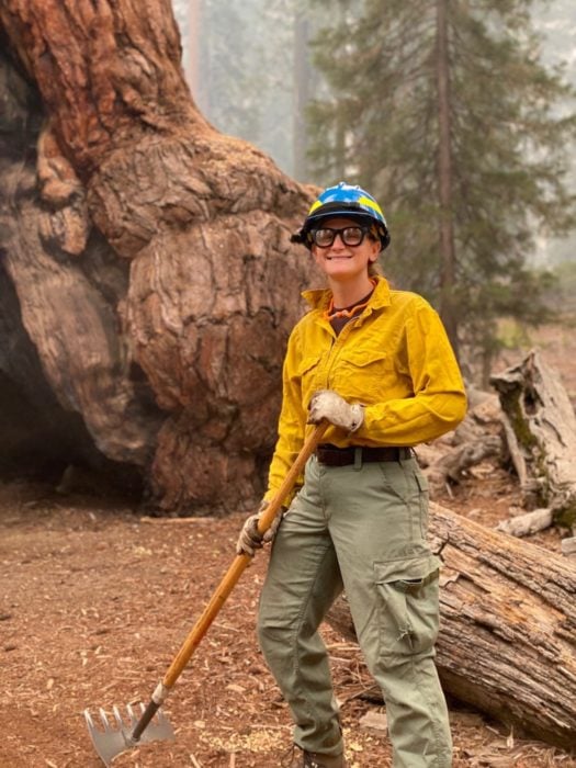 A woman wearing a hardhat, glasses, a yellow shirt, and khaki pants, holding a rake and standing in front of a giant sequoia.