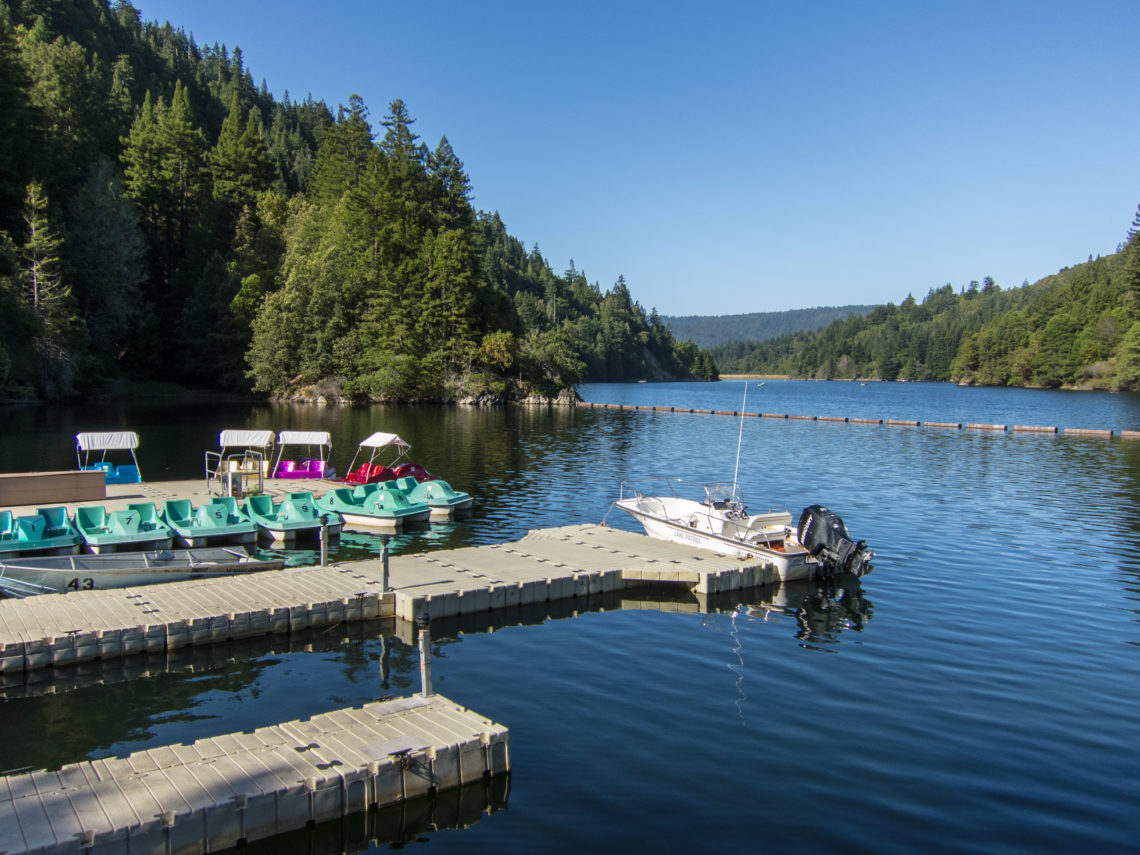 Three small docks float on a reservoir lined with tall trees on a sunny day. Small boats are docked two of the three docks.