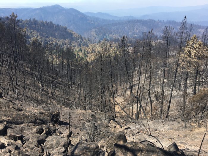 fire at big basin