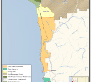 Map thumbnail of Lost Coast Redwoods in Mendocino County near Rockport, California
