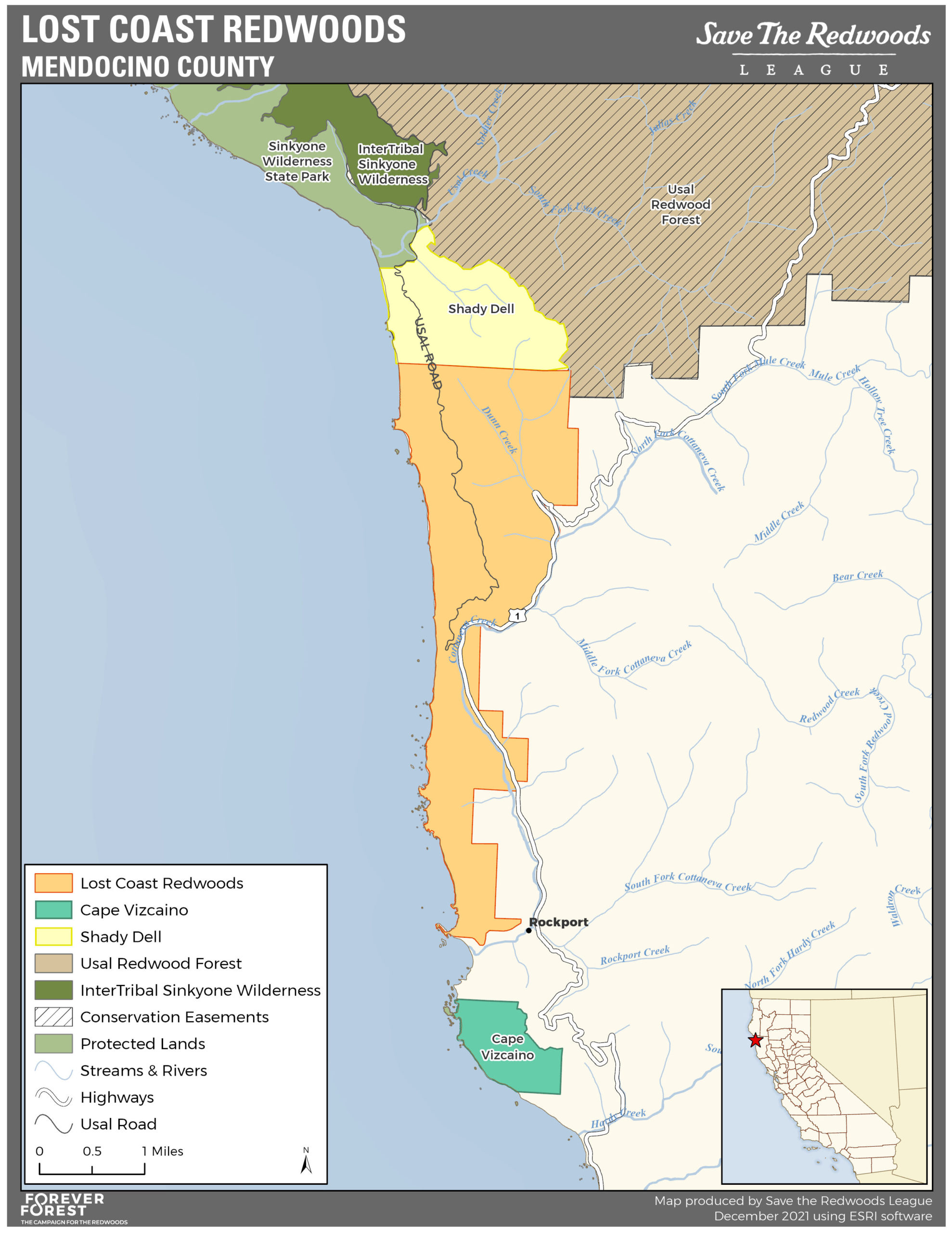 Lost Coast Redwoods Location