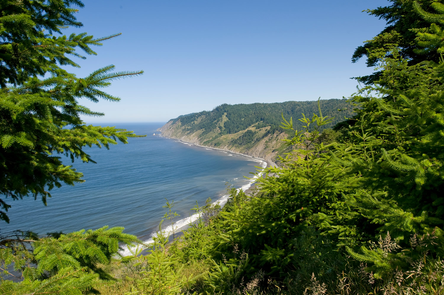 New Lost Coast Trail Extension Now Open Save the Redwoods League