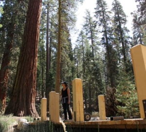 Visitors will find new, wheelchair-accessible trails and boardwalks. Photo by Yosemite Conservancy