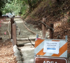 In fall 2015, California Conservation Corps crews and contractors removed part of the old Pfeiffer Falls Trail’s concrete and constructed a beautiful, small dirt section of trail. League members’ gifts have supported the planning and rebuilding of the rest of the Pfeiffer Falls Trail.