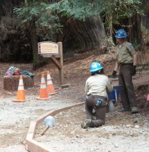 In fall 2015, California Conservation Corps crews and contractors removed part of the old Pfeiffer Falls Trail’s concrete and constructed a beautiful, small dirt section of trail. League members’ gifts have supported the planning and rebuilding of the rest of the Pfeiffer Falls Trail.