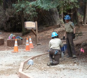 In fall 2015, California Conservation Corps crews and contractors removed part of the old Pfeiffer Falls Trail’s concrete and constructed a beautiful, small dirt section of trail. League members’ gifts have supported the planning and rebuilding of the rest of the Pfeiffer Falls Trail.