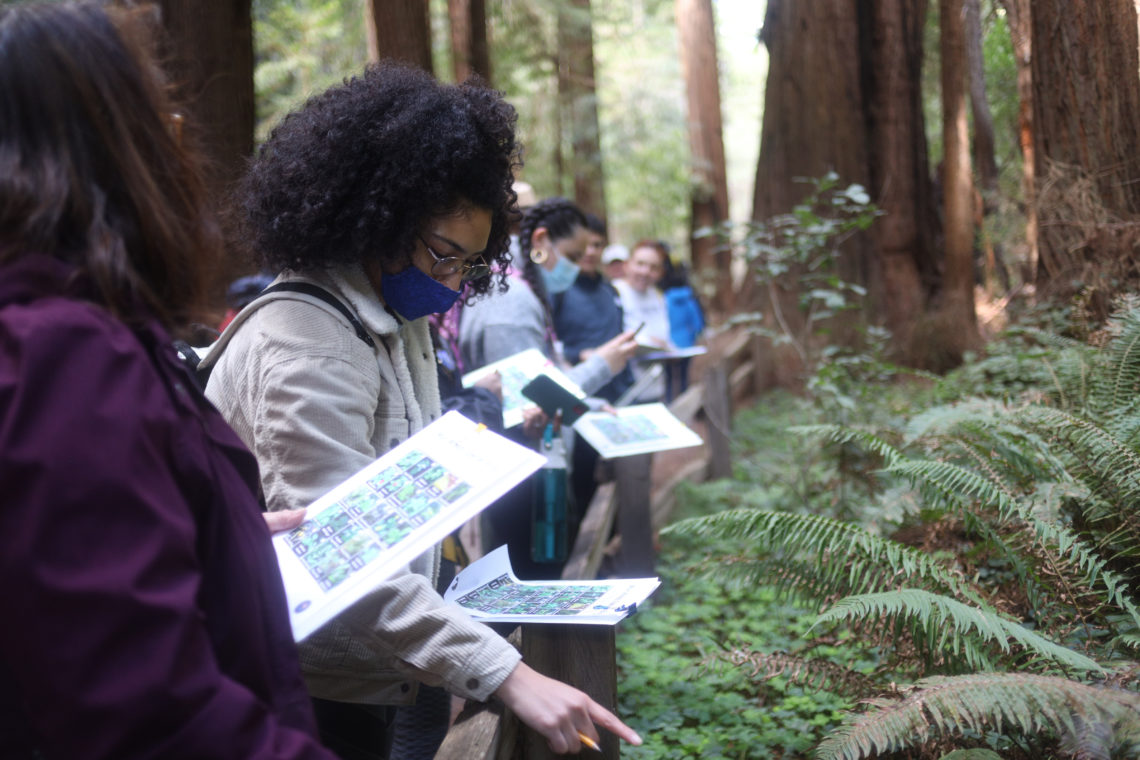 Students hold reference documents while studying plants in a redwood forest