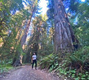 Woman walking among redwoods at Cathedral Grove at Mailliard Ranch