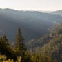 Mailliard Ranch safeguards sustainable working forests across nearly 14,000 acres and protects nearly 1,000 acres of reserves, including old-growth coast redwoods, mature mixed-conifer forest and salmon-bearing streams.  Photo by John-Birchard, Save the Redwoods League.