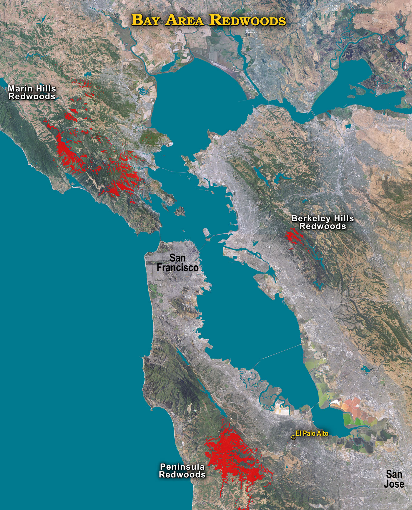 Map of San Francisco Bay Area coast redwoods