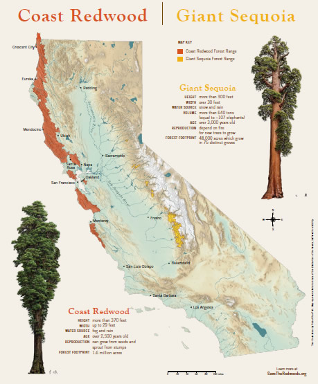 Education Poster: Coast Redwood and Giant Sequoia Map