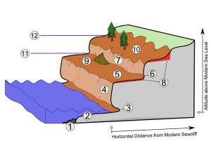 A diagram of marine terraces. Shekk12, Wikipedia Creative Commons