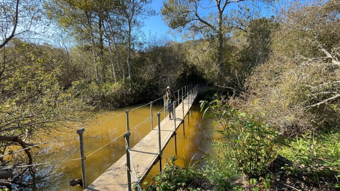 A person walks over a bridge over a creek