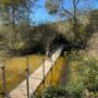 At Rancho del Oso, the Marsh Trail is open to visitors from May through October with a seasonal crossing over Waddell Creek. Photo by Jennifer Charney, Save the Redwoods League