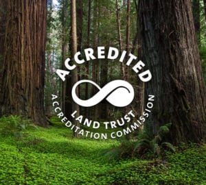 The League’s reaccreditation demonstrates sound finances, ethical conduct, responsible governance, and lasting land stewardship.