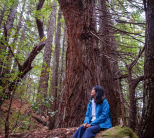 Tc’ih-Léh-Dûñ provides habitat for threatened northern spotted owls and endangered marbled murrelets. Photo by Max Forster (@maxforsterphotography), courtesy of Save the Redwoods League.