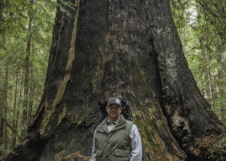 Dan Falk stands with one of the more than 1,450 old-growth redwoods at Harold Richardson Redwoods Reserve.