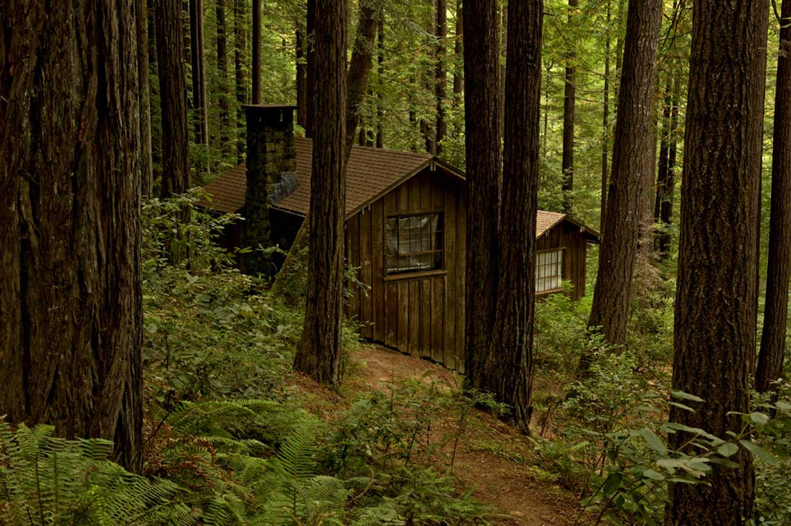 Mendocino Woodlands State Park cabins
