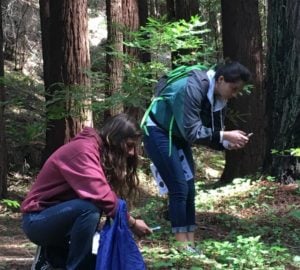 Students from Half Moon Bay High School collect plant data as part of our Redwoods and Climate Change High School Program.