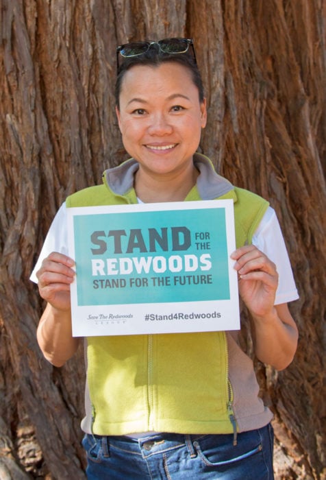 Help cover the Internet with redwoods in October! Be sure to use the hashtag #Stand4Redwoods. Photo by Mike Kahn