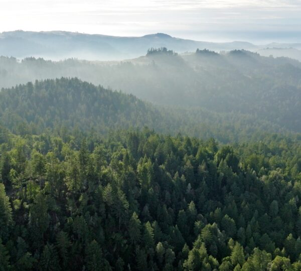 Monte Rio Redwoods Expansion is secured